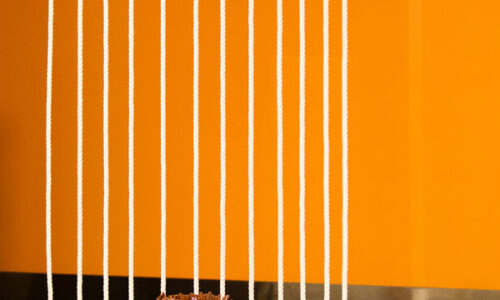 What Makes a Good Café Fitout?