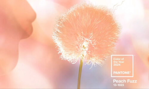 Pantone’s Color of the Year for 2024 & how to use it in your refurbishment
