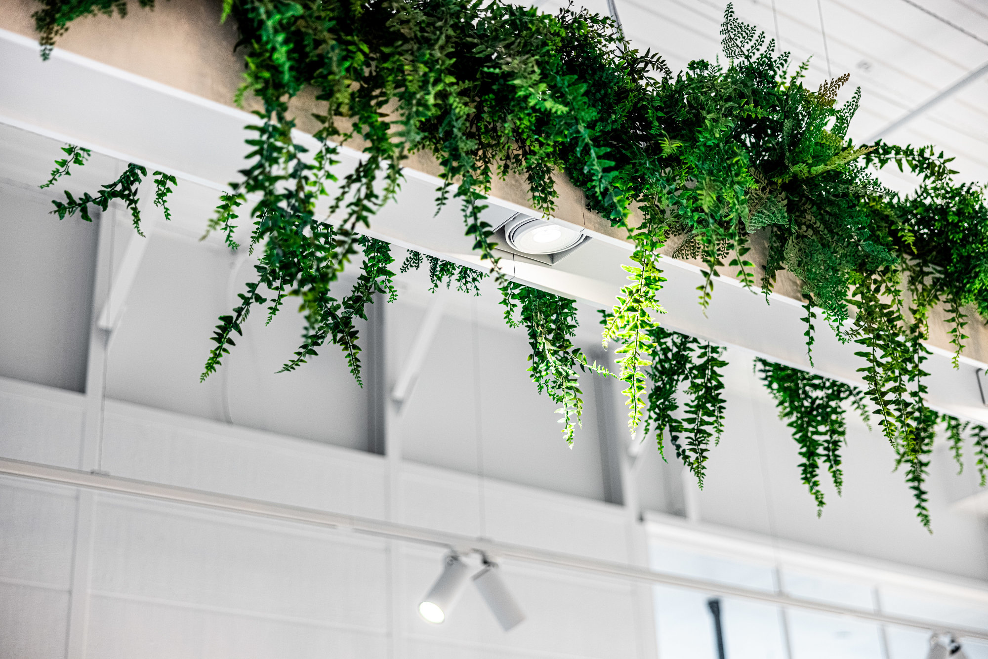 Liteco Projects Hospitality Cafe Vianee 3