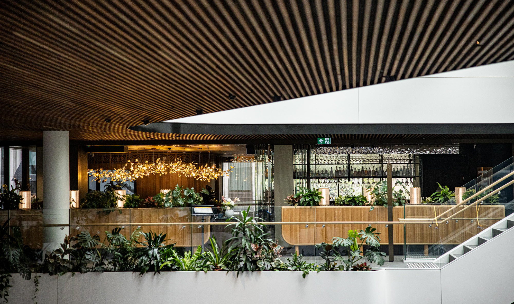 Liteco Projects Hospitality Pearl by Lotus 1