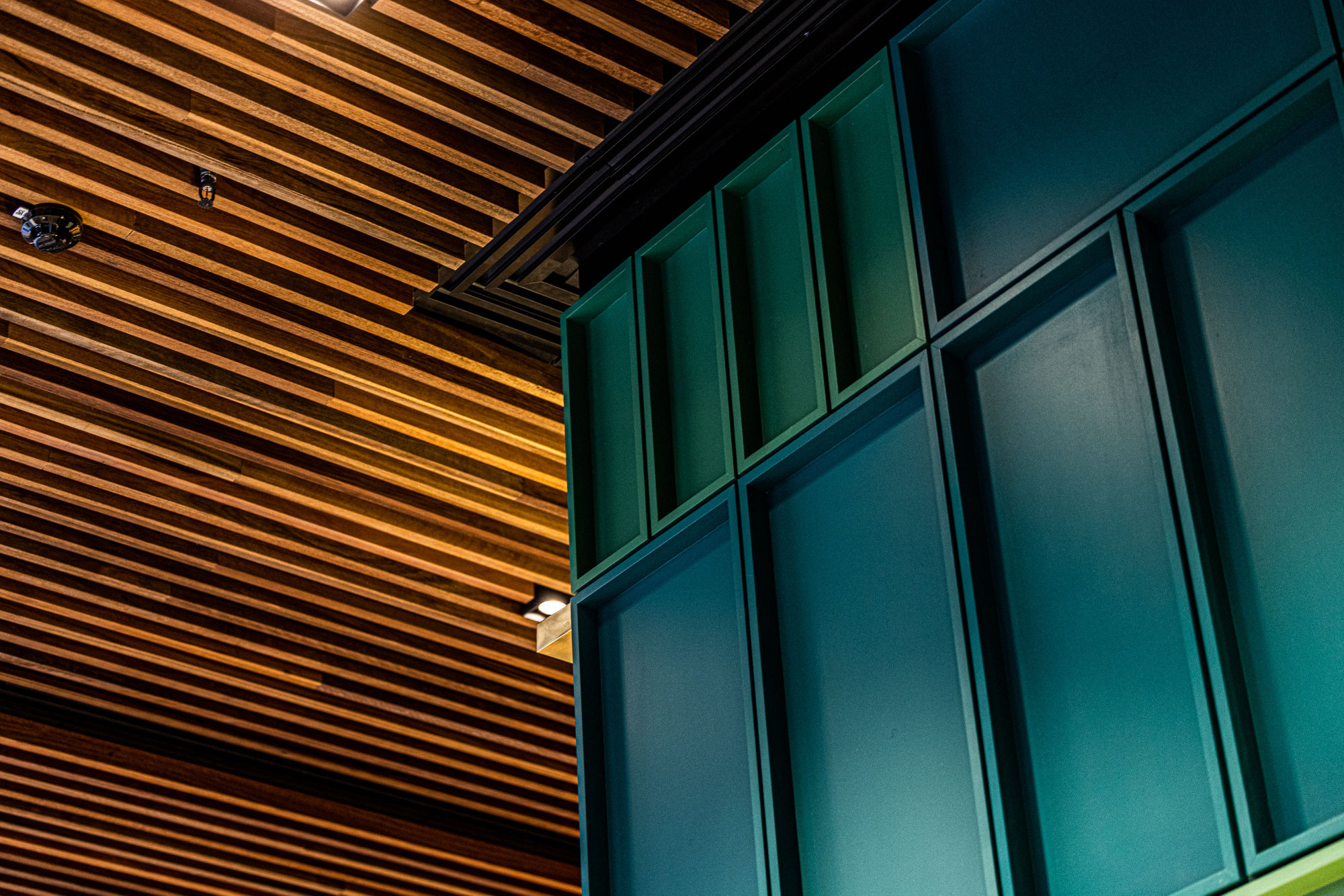 Liteco Projects Lotus Dumpling Bar Circular Quay 1