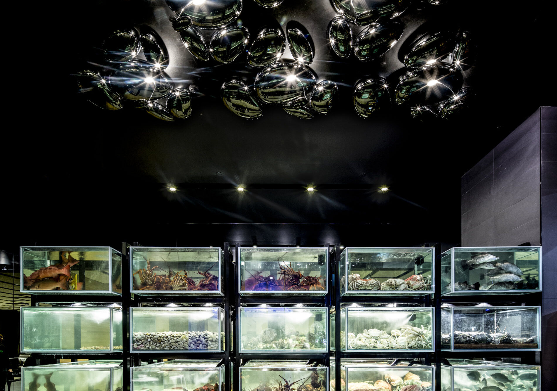 Liteco Projects The Century 1