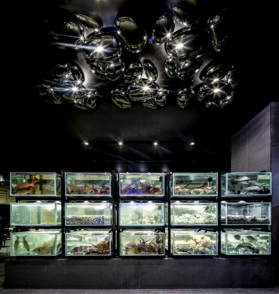 Liteco Projects The Century 1