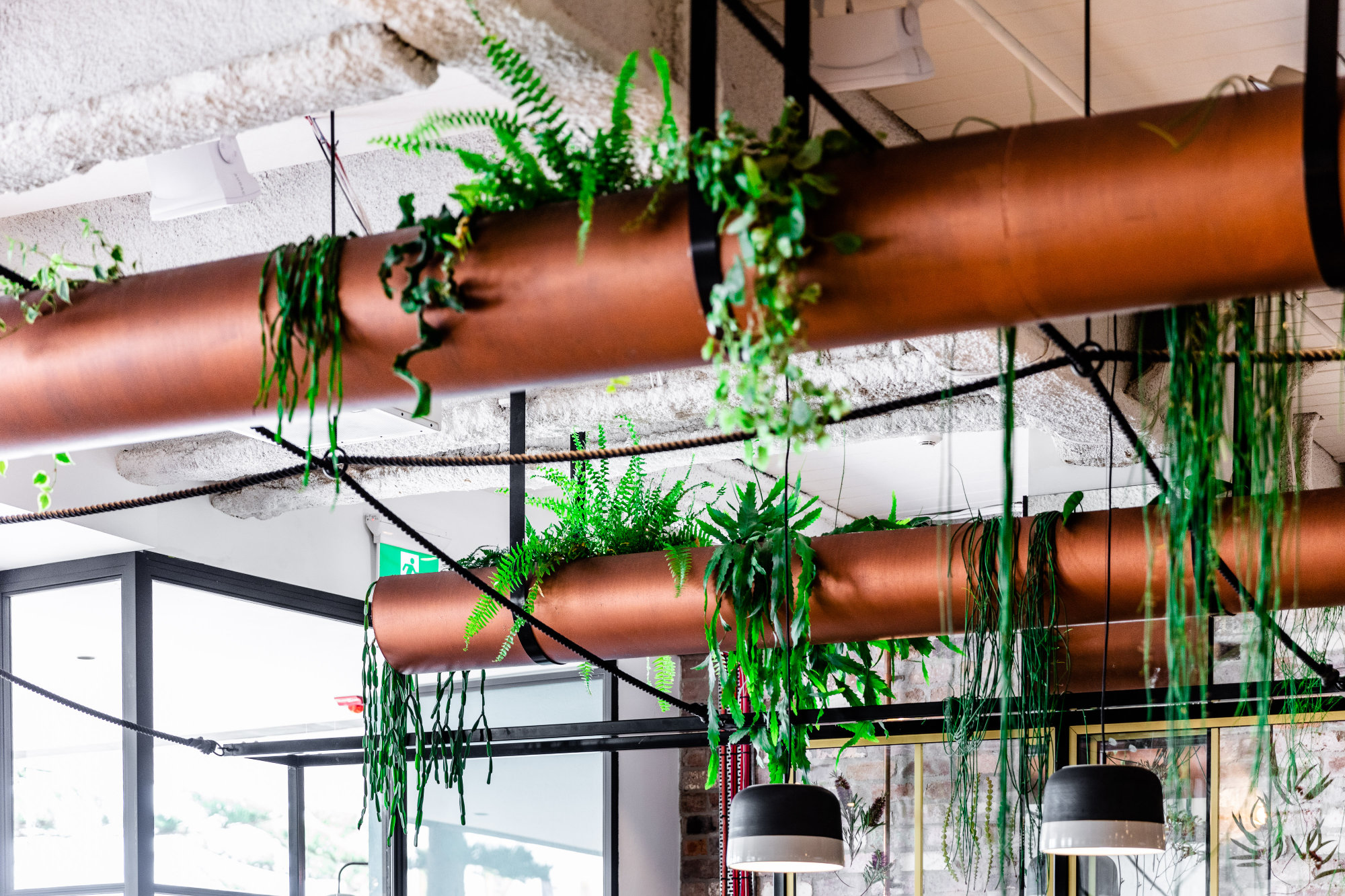 Liteco Projects The Green House 41