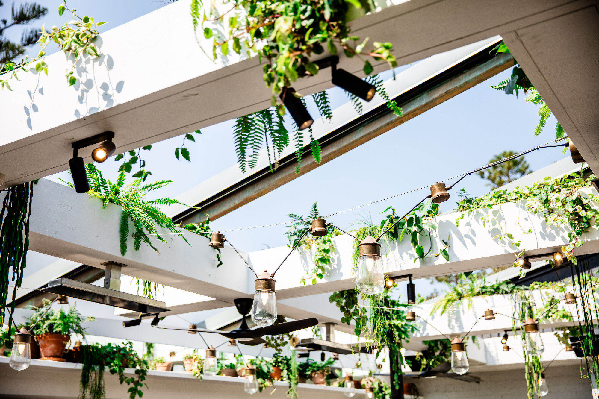 Liteco Projects The Green House 53