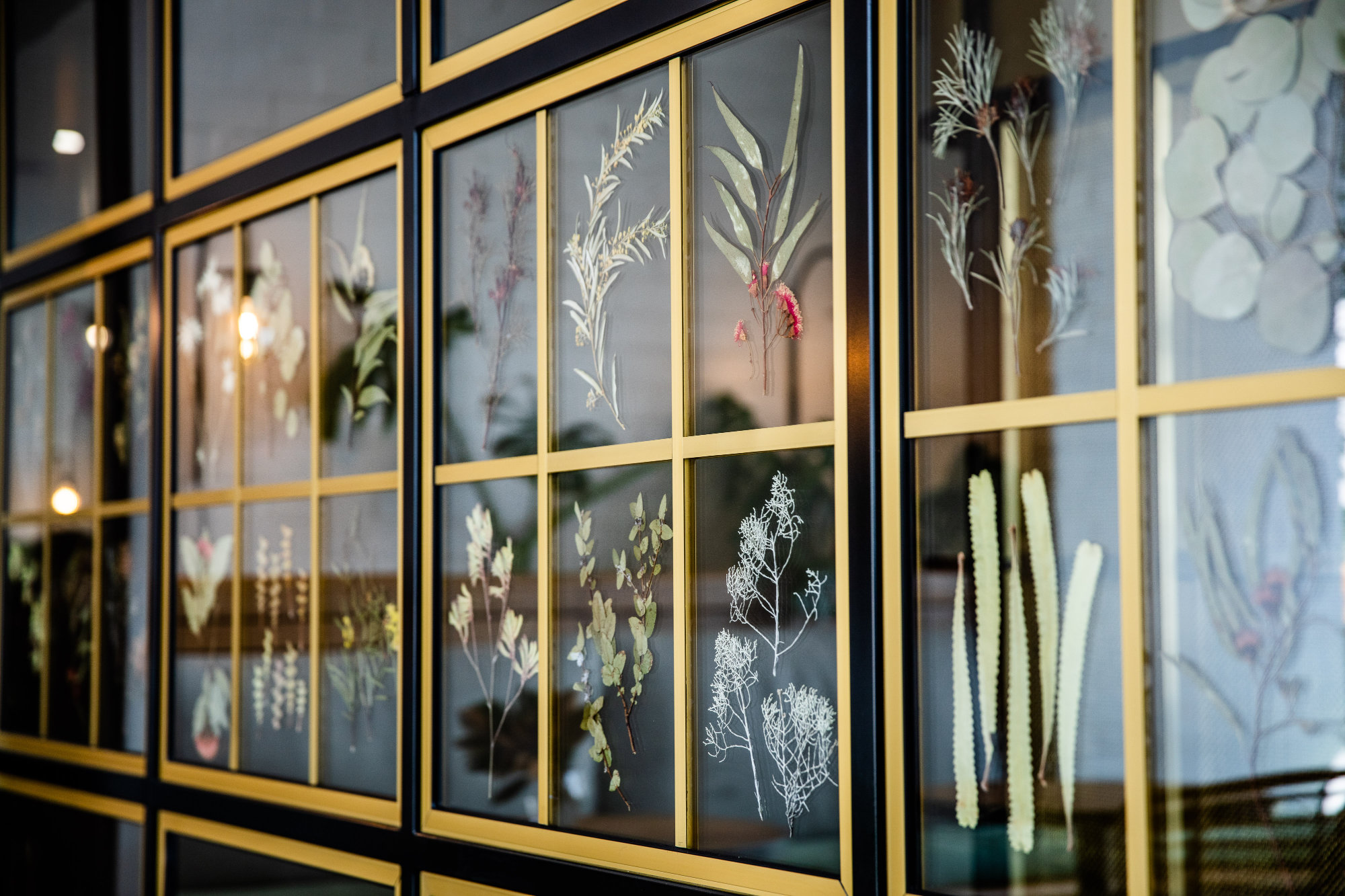 Liteco Projects The Green House 56