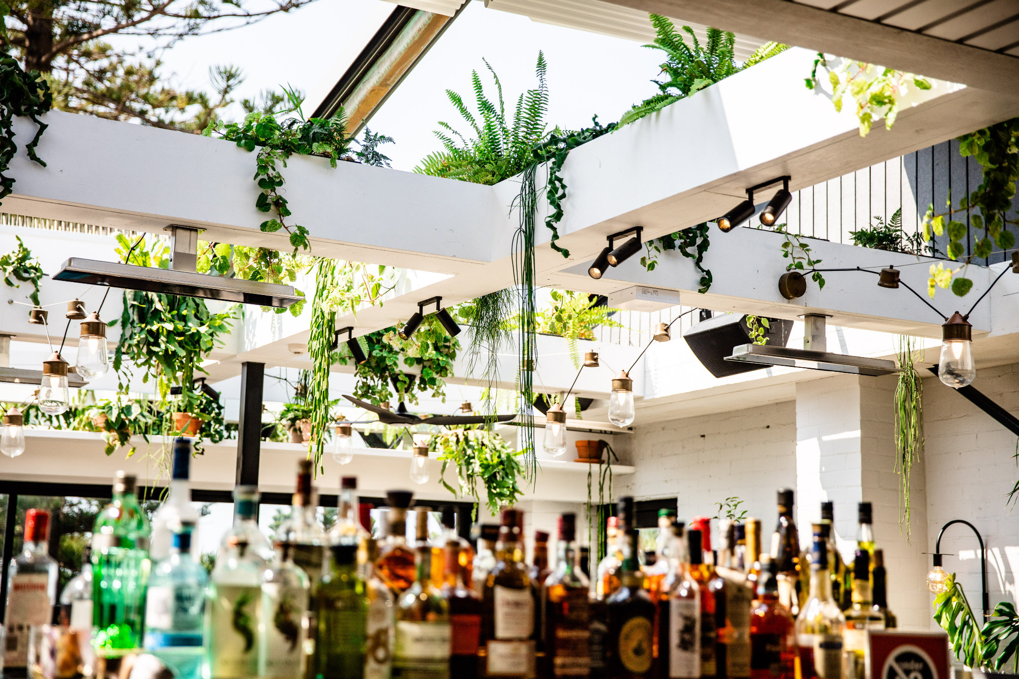 Liteco Projects The Green House 57