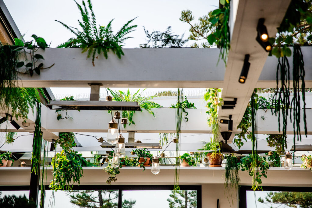 Liteco Projects The Green House 59