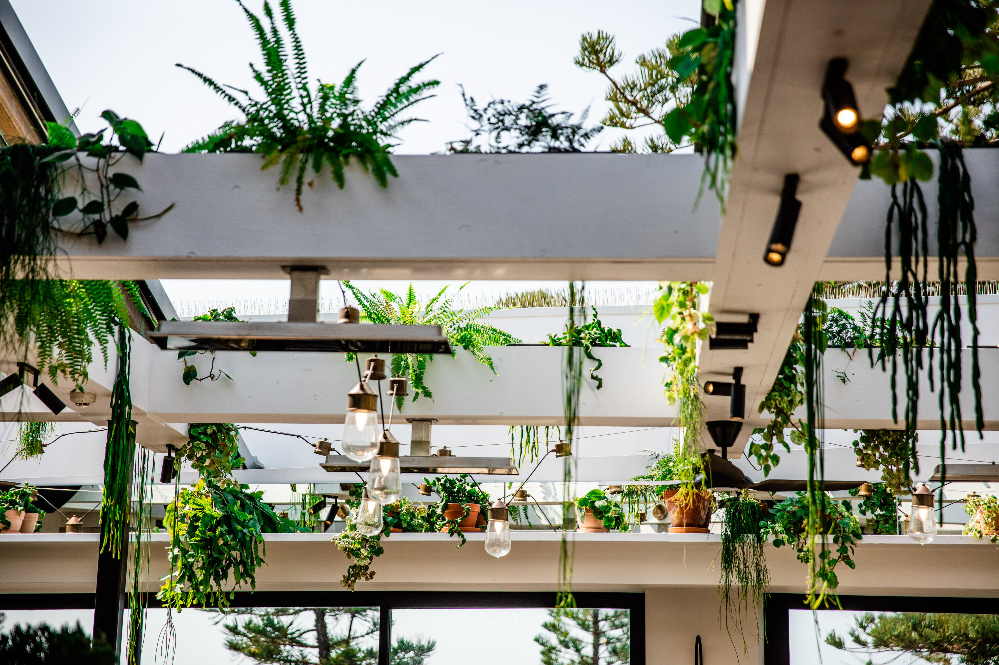 Liteco Projects The Green House 59