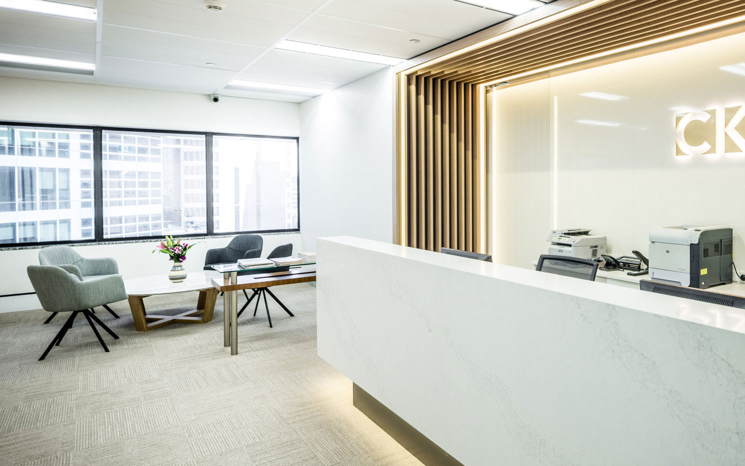 Liteco Projects Work Place CKSD Lawyers 7